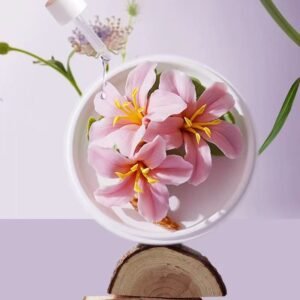 Dehua ceramic flower ornaments aromatherapy-Bauhinia