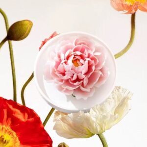 Dehua ceramic flower ornaments aromatherapy-Peony